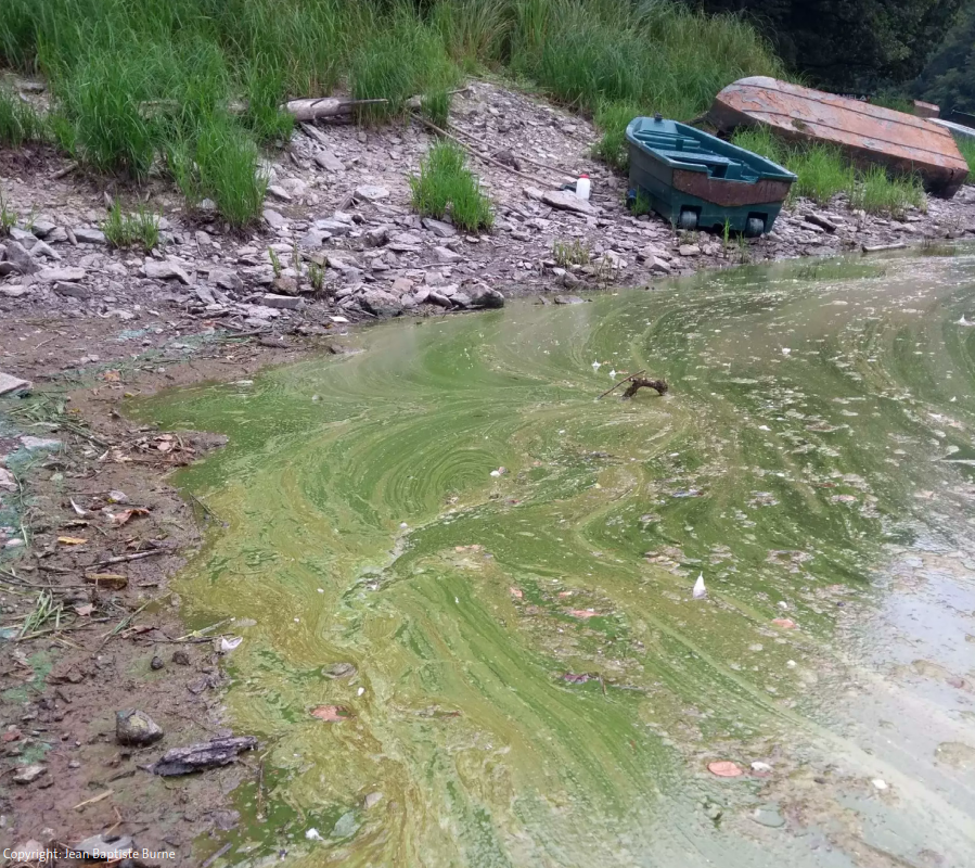 Mini étude de cas pour les Détectives du Climat sur la qualité de l’eau